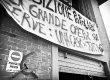 _DSC3354 copia